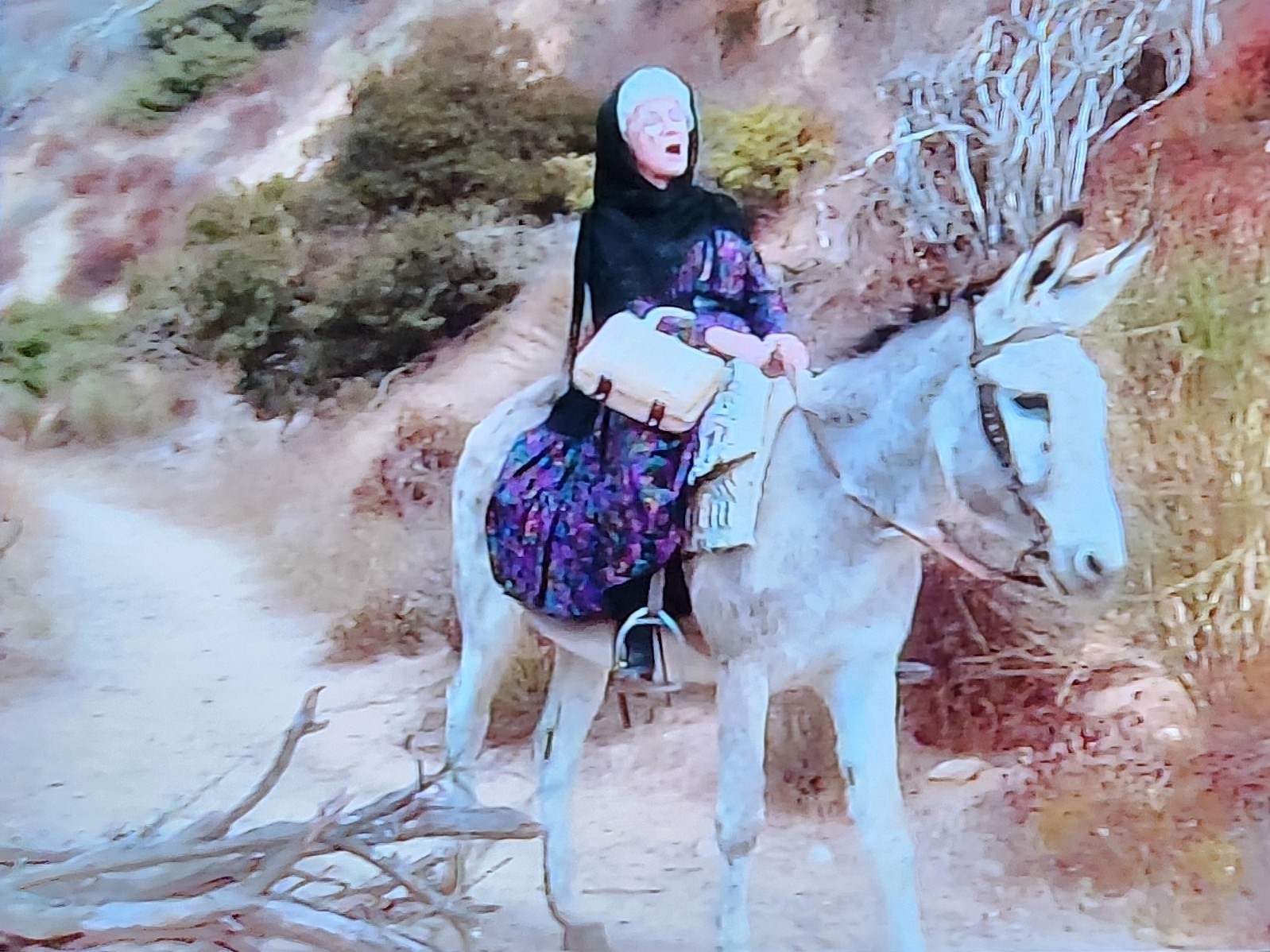 Sophia on a horse